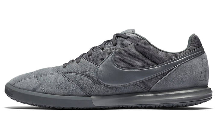 Nike Nike Premier 2 Sala Gray