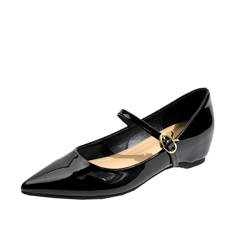 ZUOMILUO Patent Leather Chunky Heel Mary Jane Shoes Women's