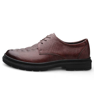 YINGLUNQISHI Top Grain Cow Leather Casual Shoes Men's Brown