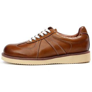 DIENGRLEY Men's Casual Shoes Men's Low Top Brown/Black