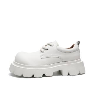 CHAOSHU Men's Casual Shoes Men's Low Top