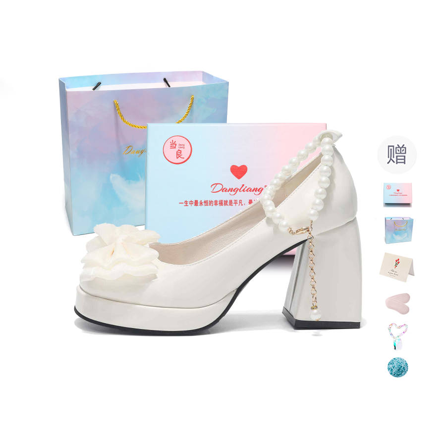 DANGLIANG Pu Chunky Heel Mary Jane Shoes Women's Gift Box Set