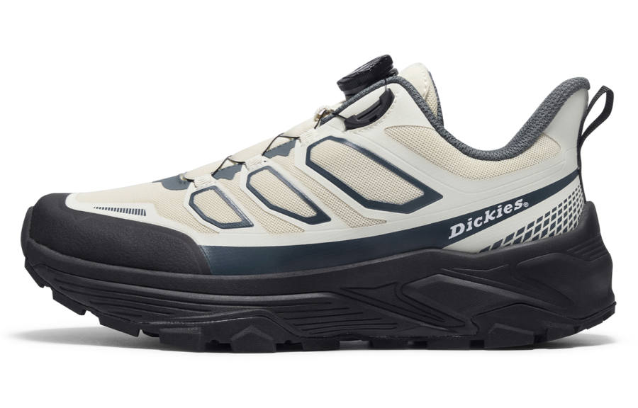 Dickies Dickies Low top Casual Shoes Men's