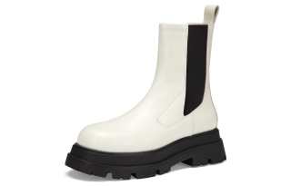 ASH Elite 03 Leather Ankle Boots