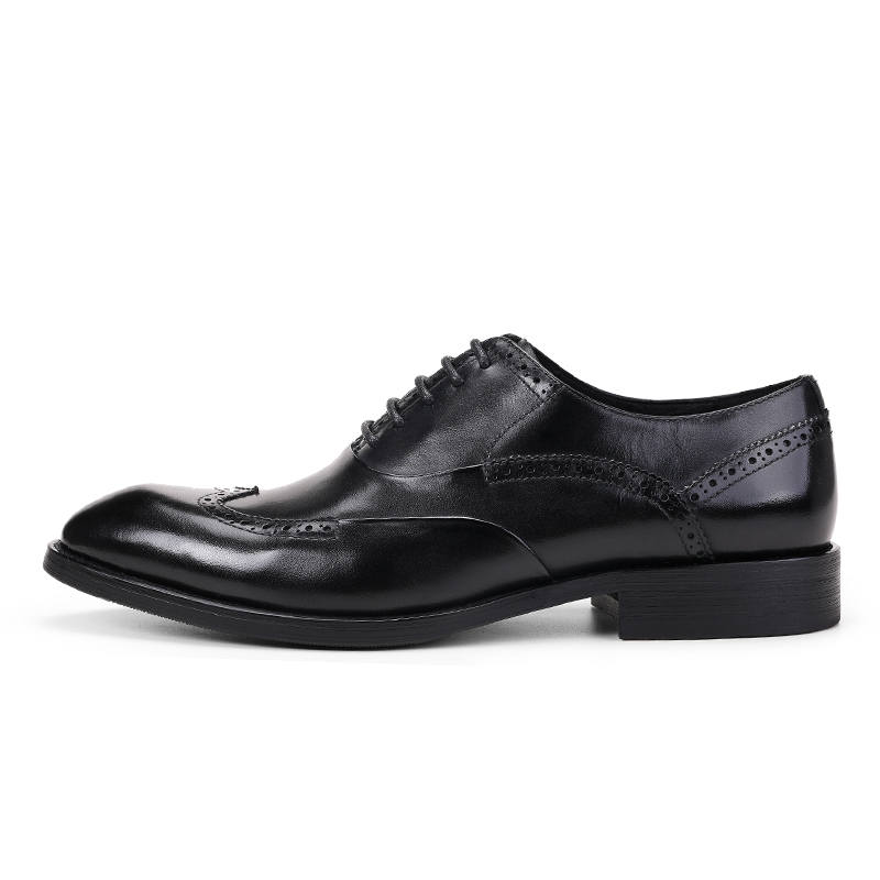 ASTON M.JAZZ Dress Shoes Men's Low Top Black/Burgundy/Coffee/Brown