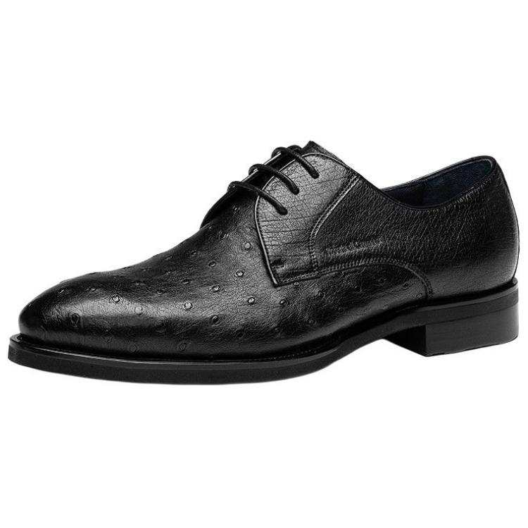 ROBERTA DI CAMERINO Cow Leather Dress Shoes Men's Black