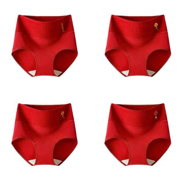 Ordifen Women's Briefs