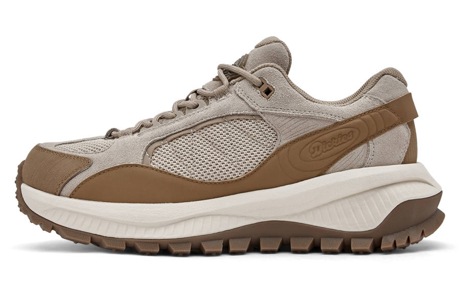 Dickies Dickies Low top Chunky Sneakers Men's Brown