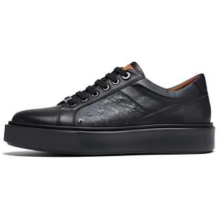 ROBERTA DI CAMERINO Cow Leather Low top Skateboard Shoes Men's Black