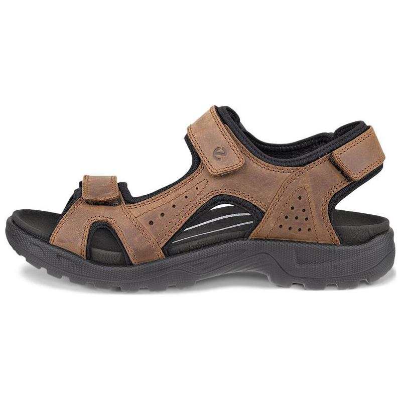 Ecco Ecco Beach Sandals Men's Brown