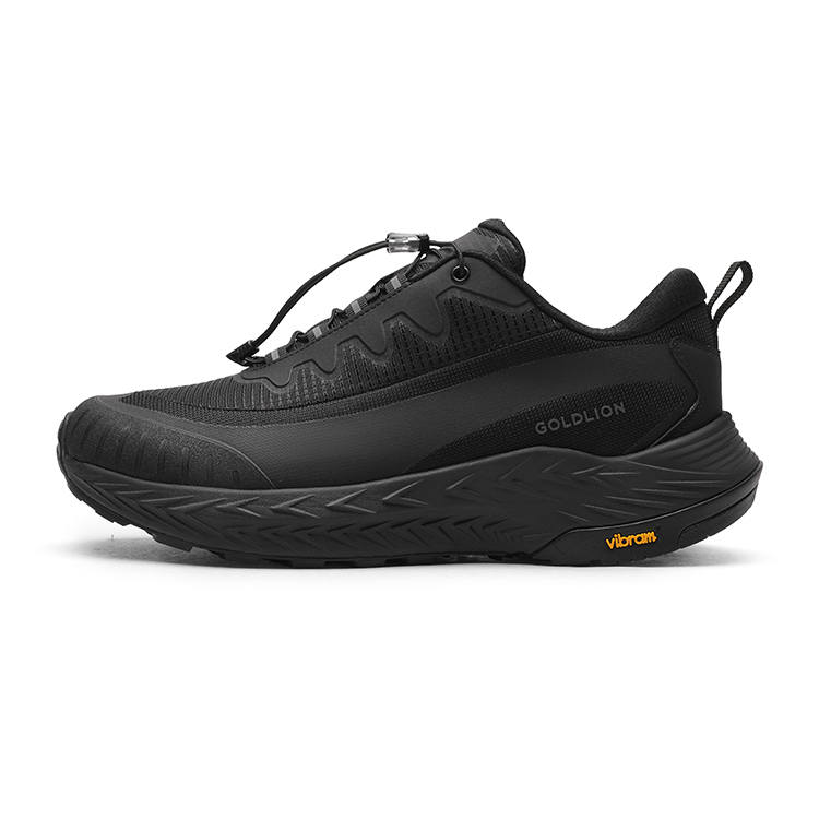 GOLDLION Slip Resistant Abrasion Resistant Balance Low top Casual Shoes Men's