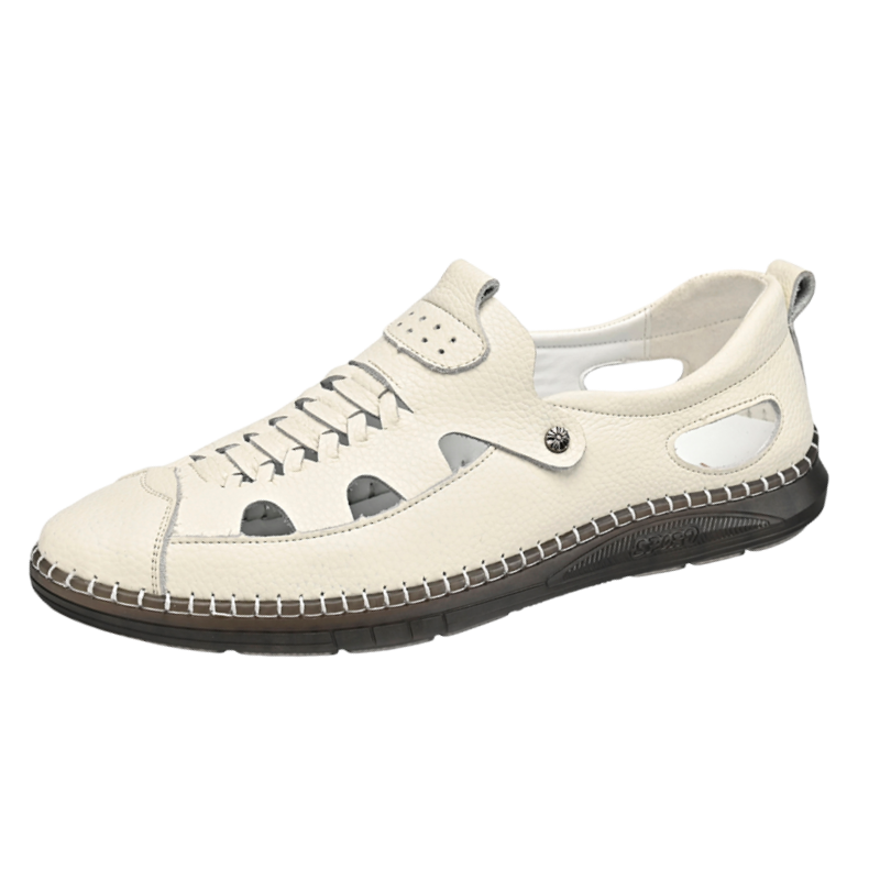 EGCHI Men's Casual Shoes Men's Low Top