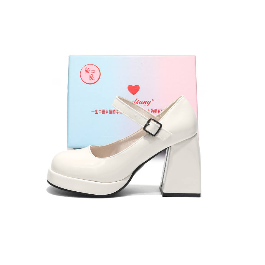 DANGLIANG Pu Chunky Heel Mary Jane Shoes Women's Gift Box Set