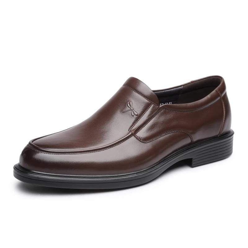 RED DRAGONFLY Casual Shoes Men's Dark Brown