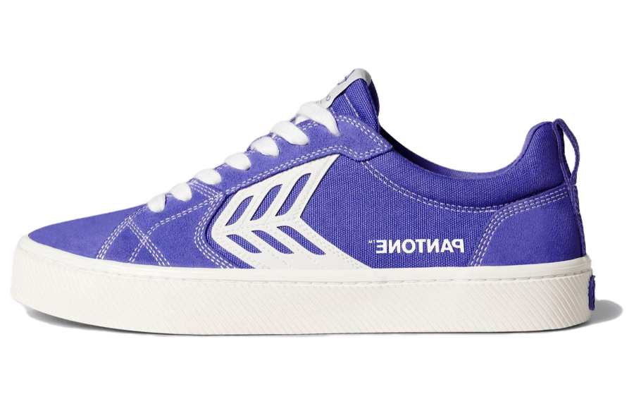 CARIUMA Pantone Low top Canvas Shoes Unisex Blue Purple