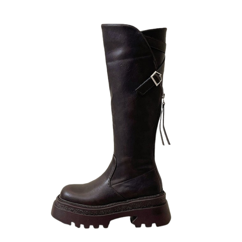 Alxnan Knee High Boots Women's Brown/Black