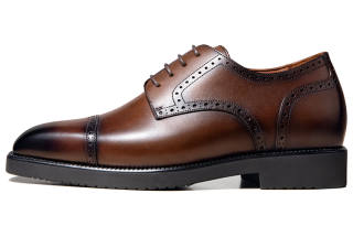 Zuti Brogue Derby Shoes In Calfskin Dress Shoes Men's Dark Brown Polished