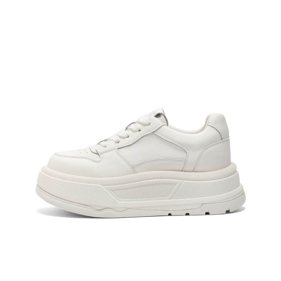 BELLE Abrasion Resistant Lightweight Slip Resistant Low top Skateboard Shoes Women's