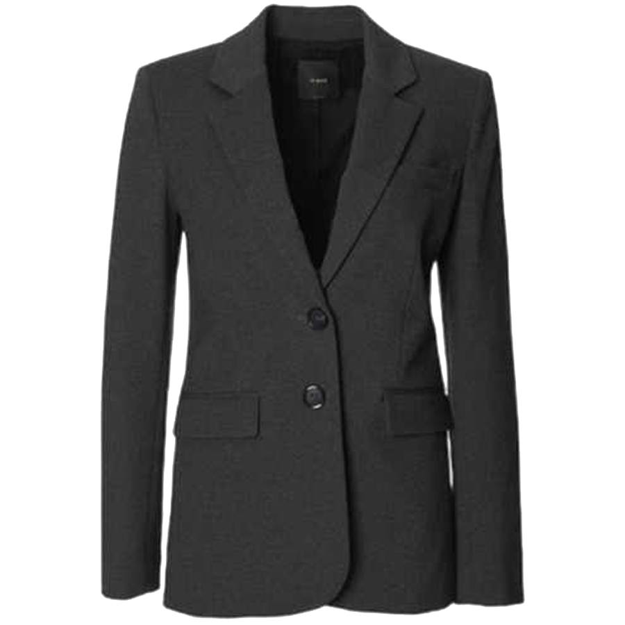 PINKO FW25 Business Suit Coat Women's
