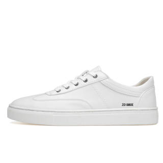 ZOIBBOE Low top Skateboard Shoes Men's