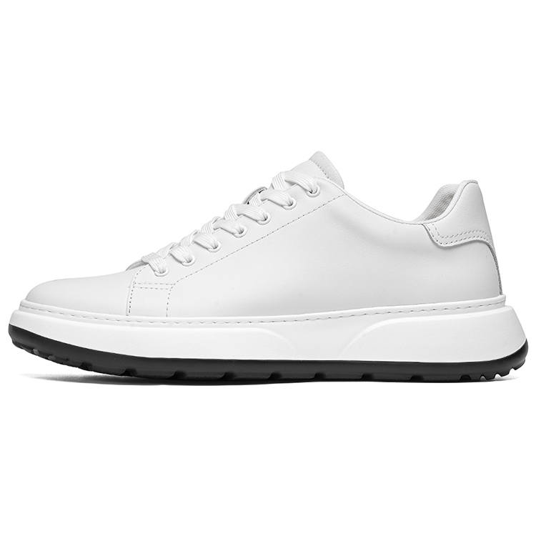ROBERTA DI CAMERINO Cow Leather Non slip Lightweight Low top Skateboard Shoes Men's