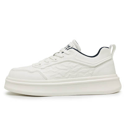 Frank Mully Low top Skateboard Shoes Men's