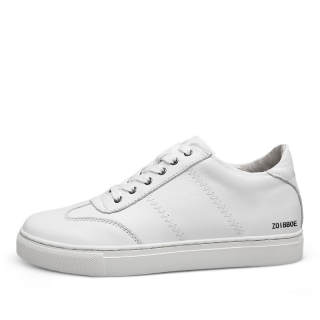 ZOIBBOE Cow Leather Low top Skateboard Shoes Unisex
