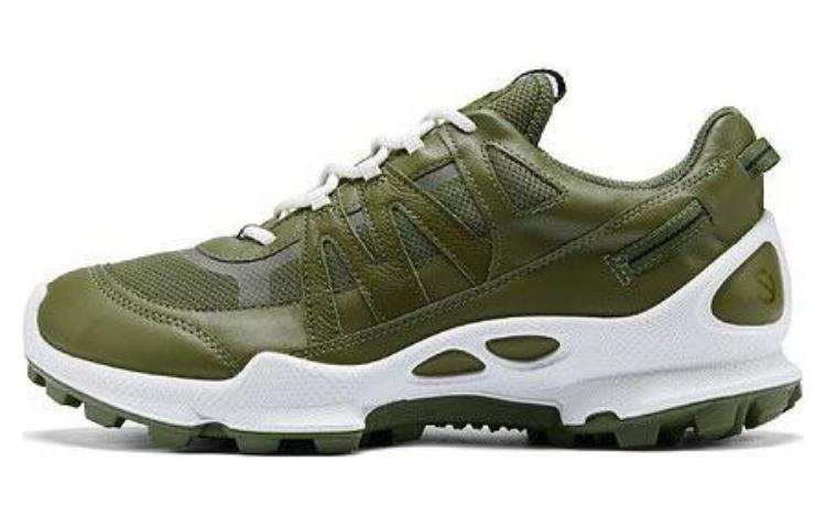 Ecco Ecco Striding C Low top Hiking Shoes Men's Oak Fruit Green