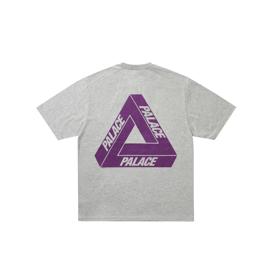 PALACE x THE NORTH FACE PURPLE LABEL FW25 T Shirt Unisex