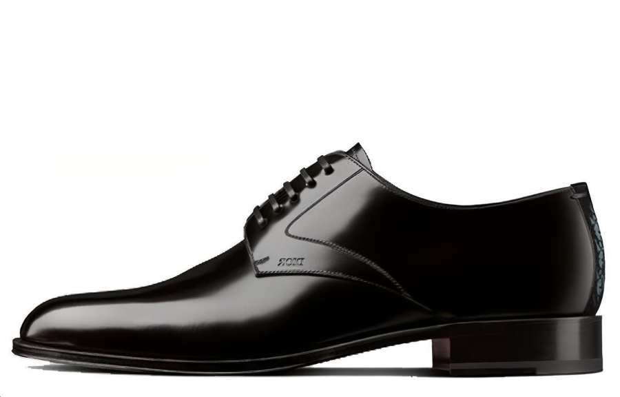 DIOR Timeless Dress Shoes Men's Black