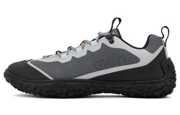 DIOR Diorizon Lace Up Low top Casual Shoes Men's Gray