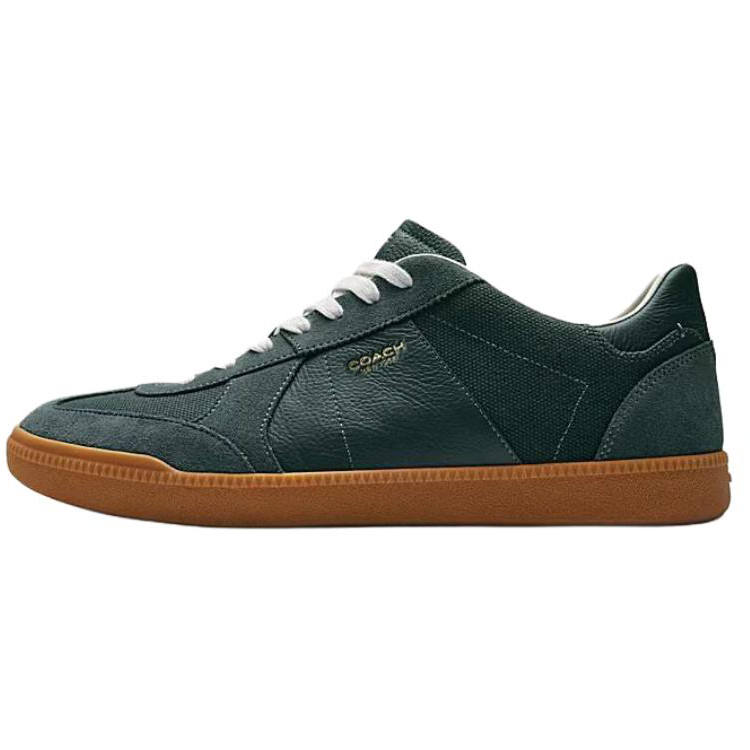 COACH COACH Ellis Low top Skateboard Shoes Green