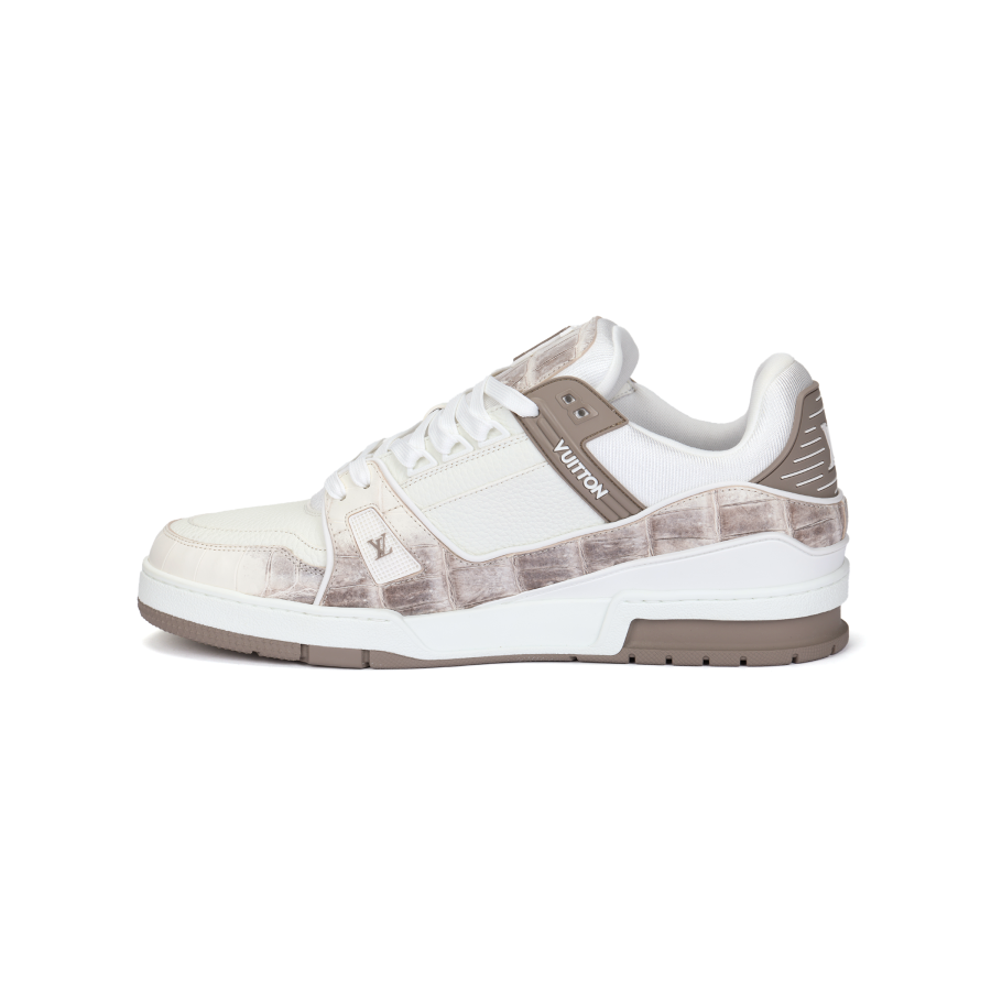 LOUIS VUITTON Trainer Low top Skateboard Shoes Unisex Brown