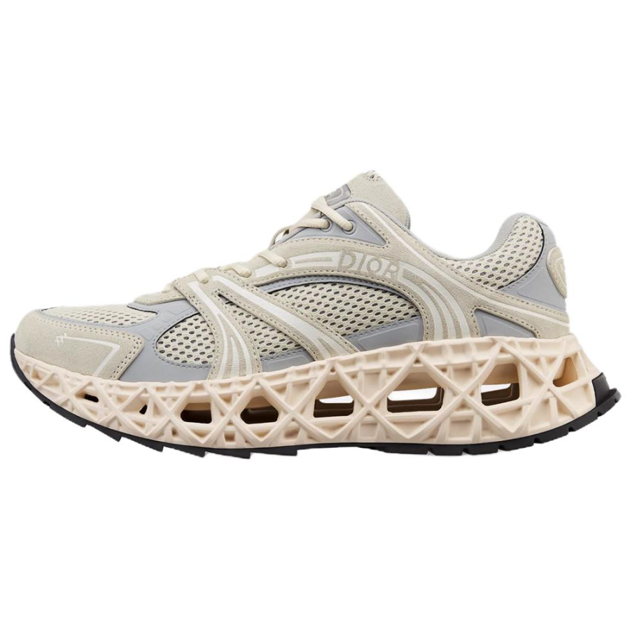 DIOR B35 NXXT Calfskin Low top Casual Shoes Men's Gray White