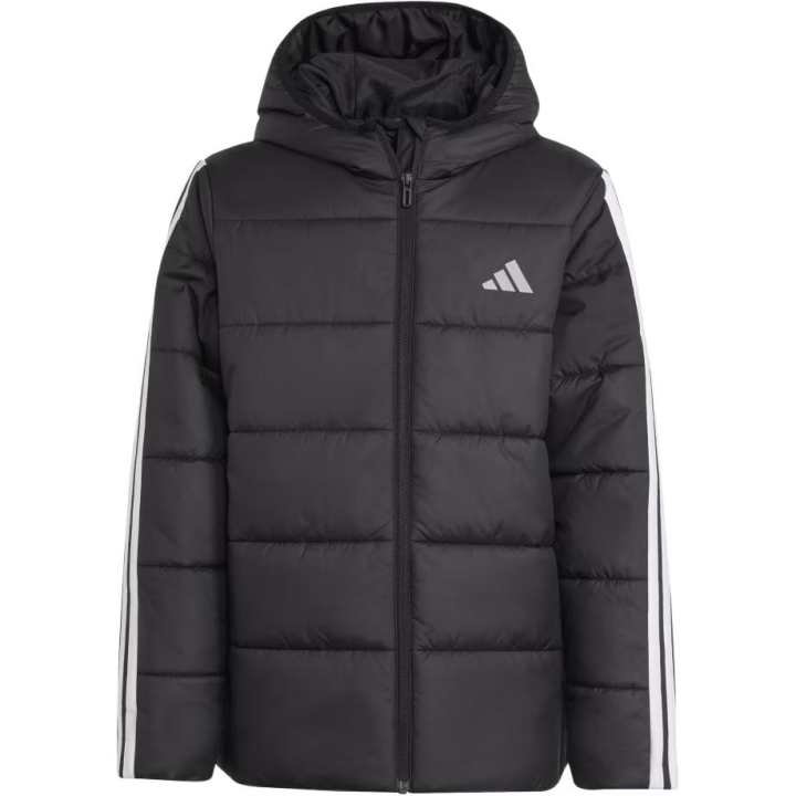 Adidas Adidas Kids Padded Jackets Hooded
