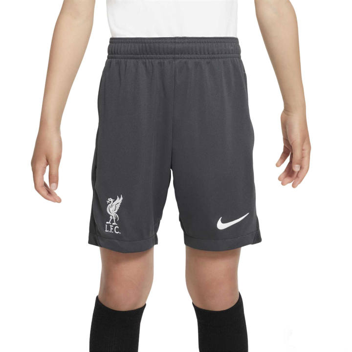Nike Nike Kids Shorts Moderate