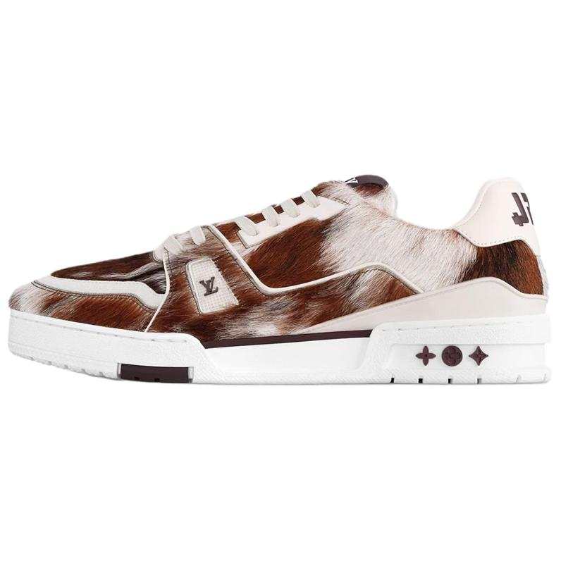 LOUIS VUITTON Trainer Low top Skateboard Shoes Men's Brown