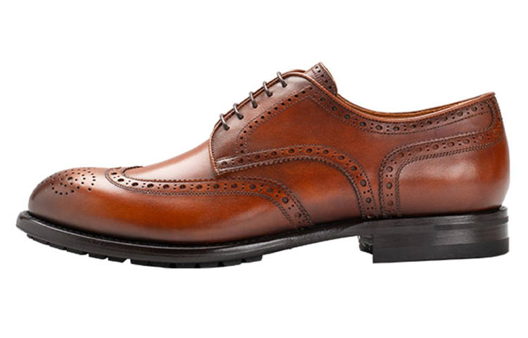 FRANCESCHETTI FRANCESCHETTI Top Grain Cow Leather Derby Shoes Men's Brown