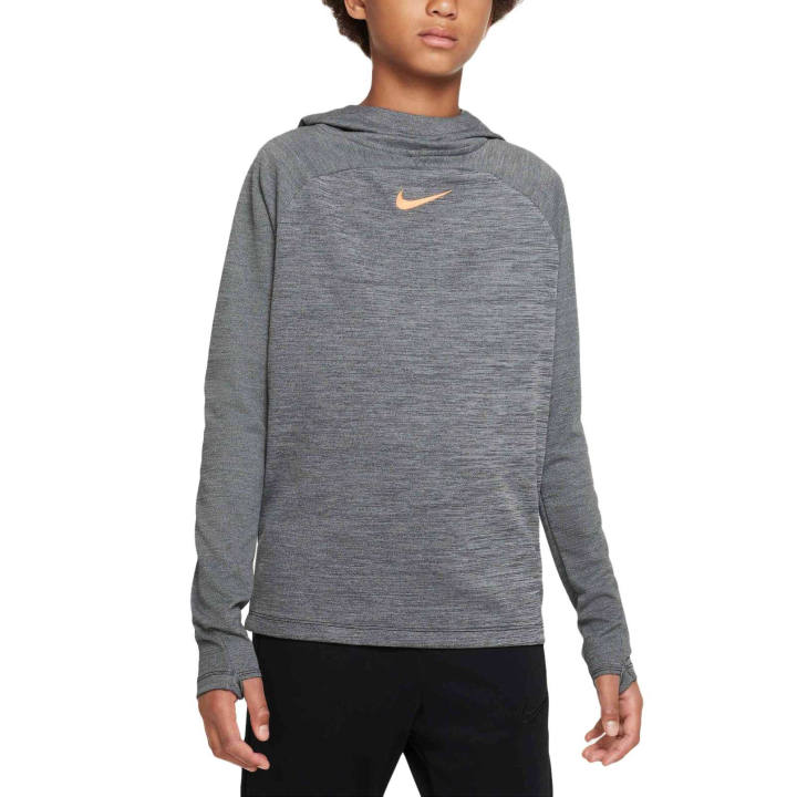 Nike Nike Kids Sweatshirts Hooded Moderate