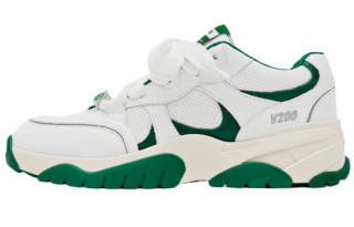 Axel Arigato Catfish Mesh Abrasion Resistant Breathable Low top Casual Shoes Men's White Green