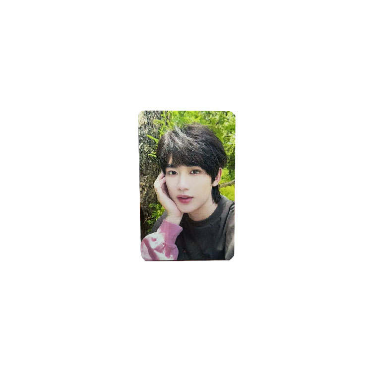 TF ENTERTAINMENT Time Youth Group, Ding Chengxin The World We've Walked Together, Irreplaceable Selfie Card Photocards