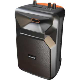 Newmine Speakers & Audio Systems TR K11 Bluetooth Connection