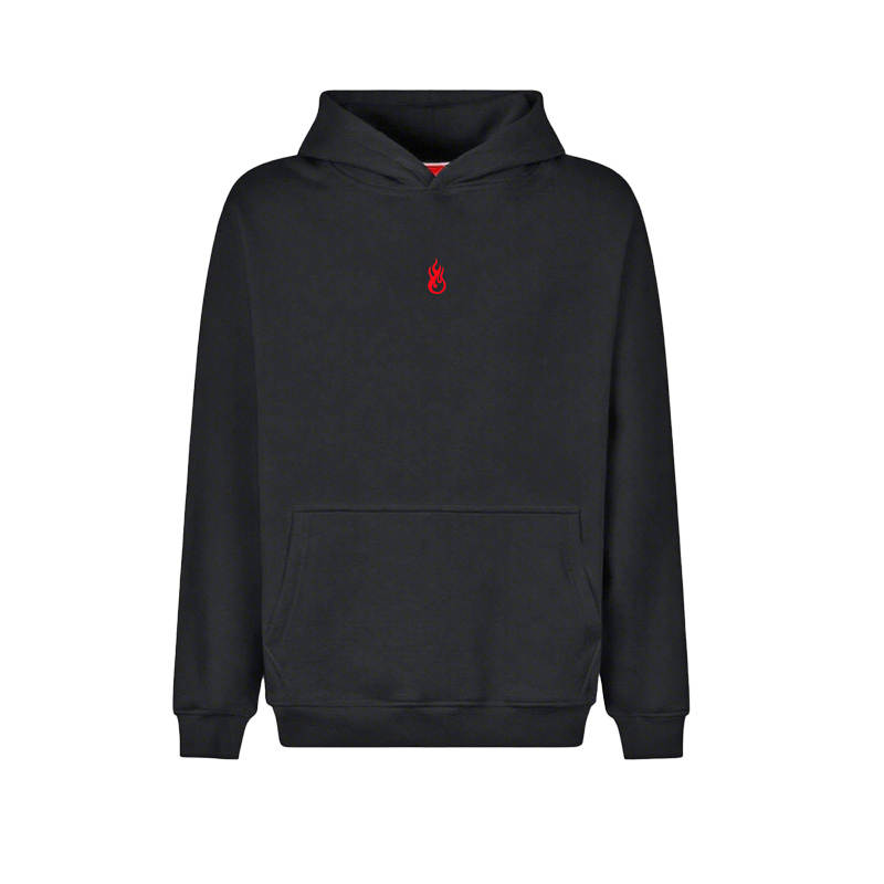 Vision Of Super Flame embroidered Hoodie