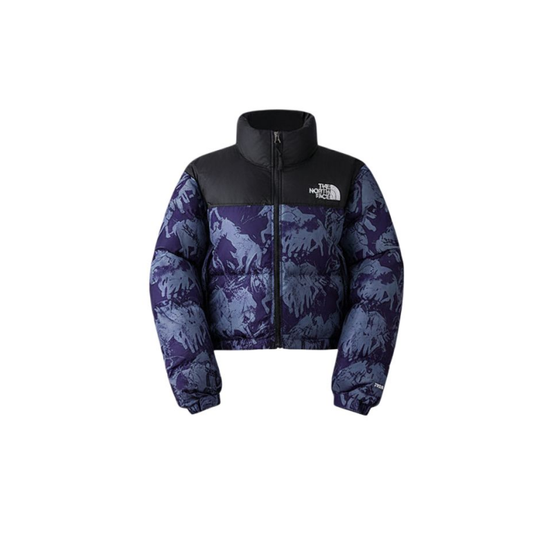 THE NORTH FACE ICON Down Jacket Women's