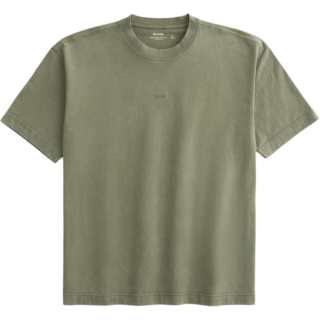Hollister/ T Shirts Men's Green Crew Neck Moderate Straight Fit