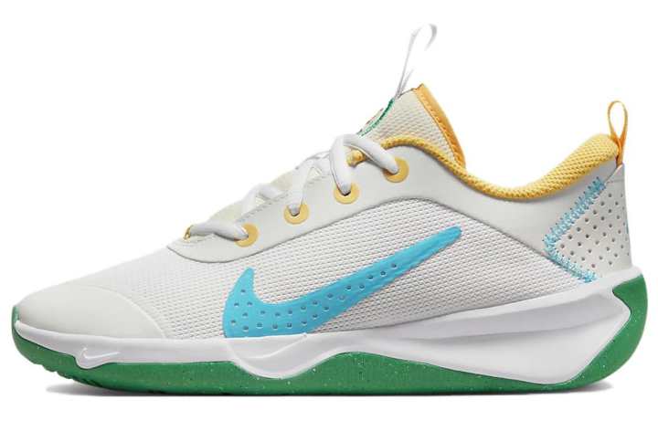 Nike Nike Omni Multi-Court GS 'Spring Colors'