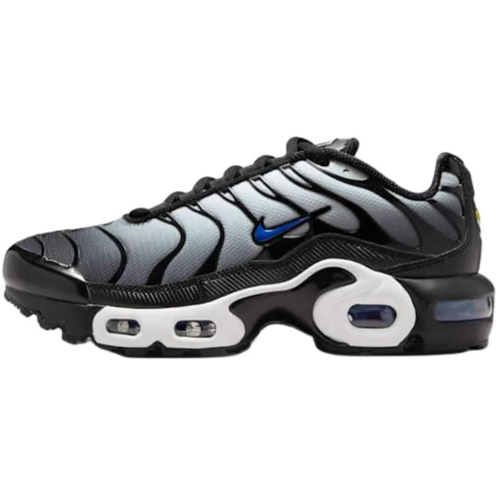 Nike Nike Air Max Plus Low top Running Shoes Black Gray Blue Unisex