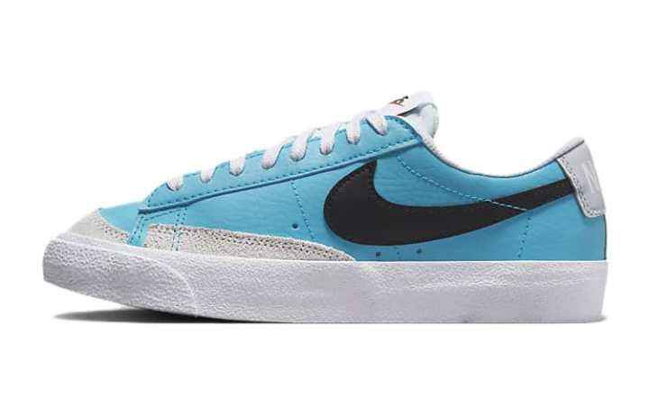 Nike Nike Blazer Low 77 Low top Skateboard Shoes Blue Unisex