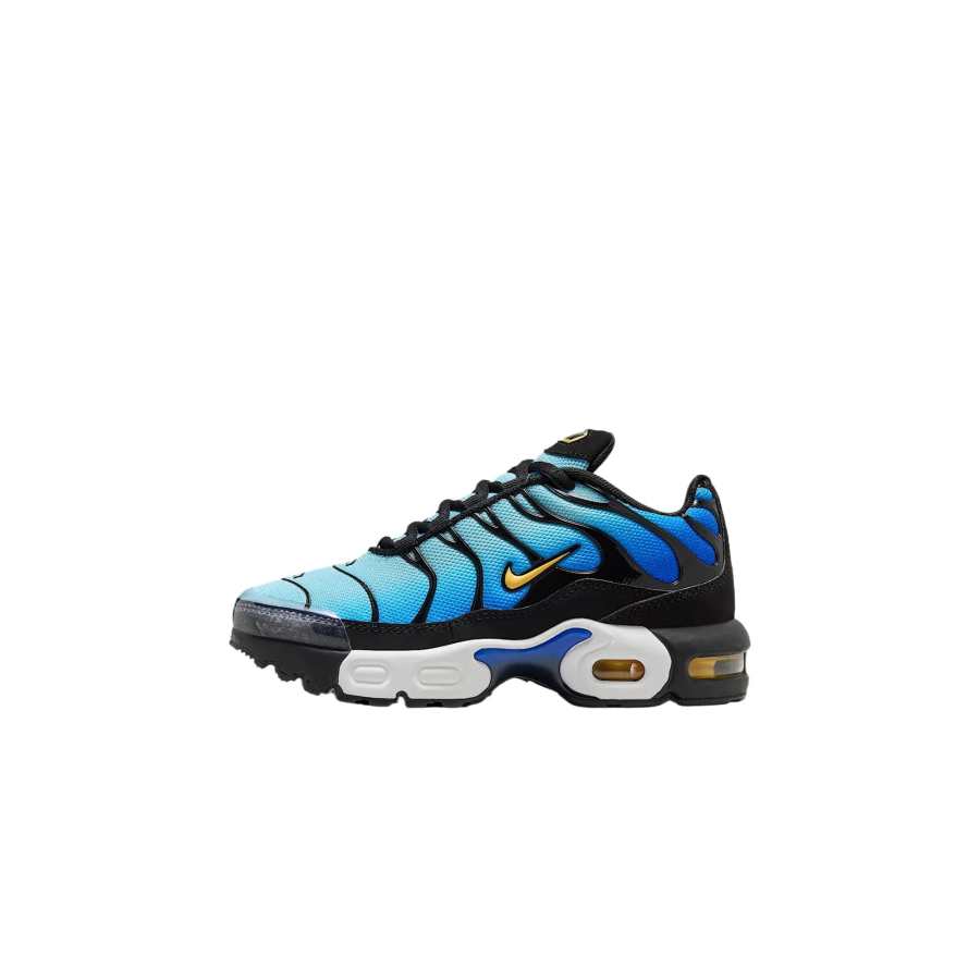 Nike Nike Air Max Plus Breathable Low top Kids Lifestyle Shoes Black Sky Blue Ultra Blue Suede Color Kids'