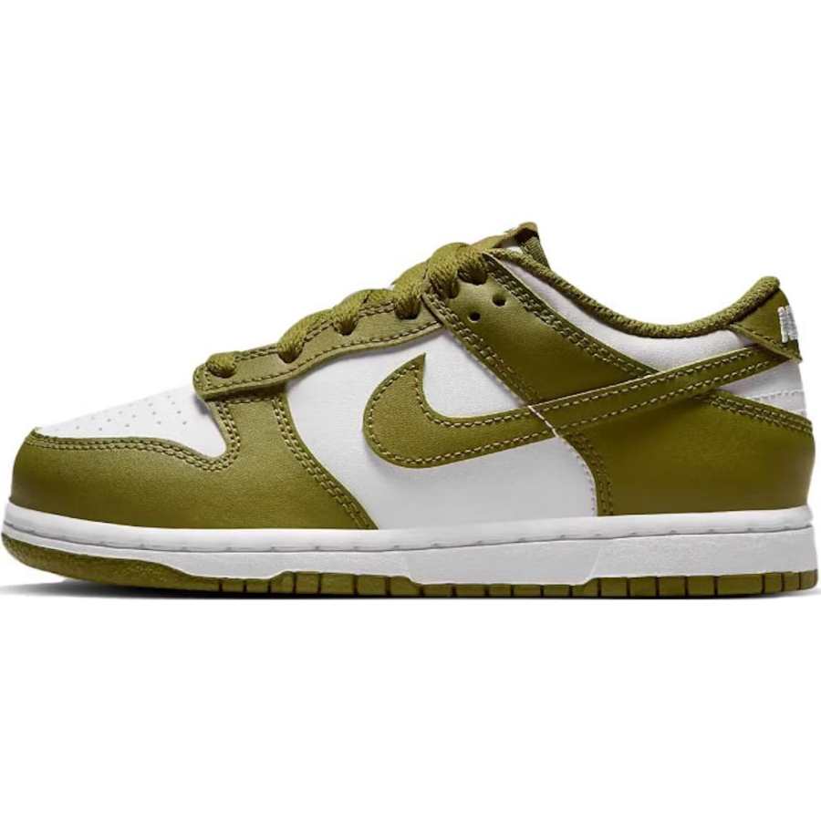 Nike Nike Dunk Slip Resistant Abrasion Resistant Low top Kids' Skateboarding Shoes Green Kids'
